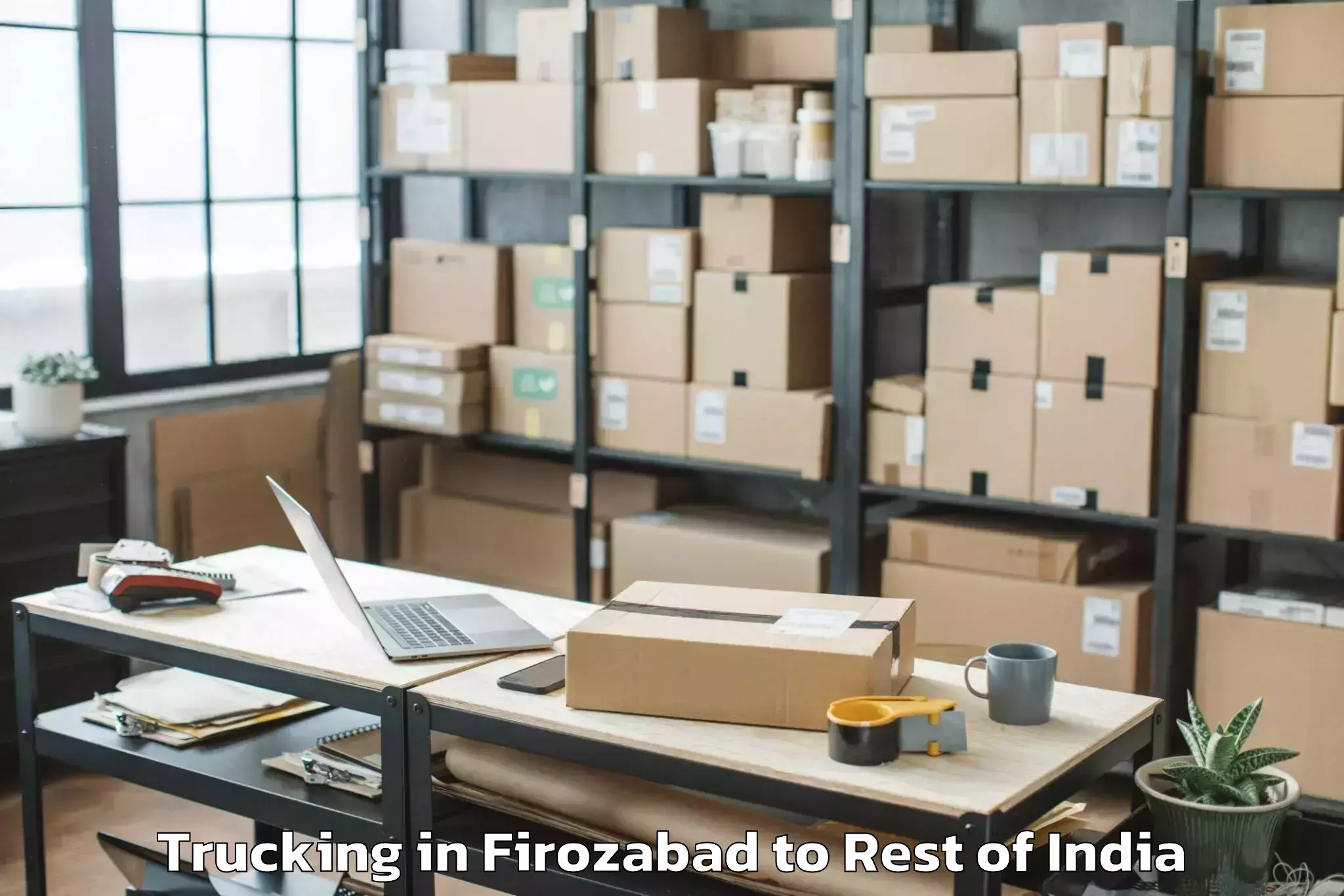 Book Firozabad to Kudavasal Trucking Online